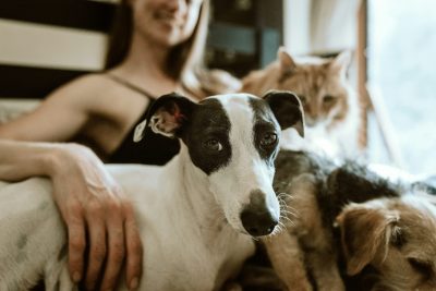 girl with dogs